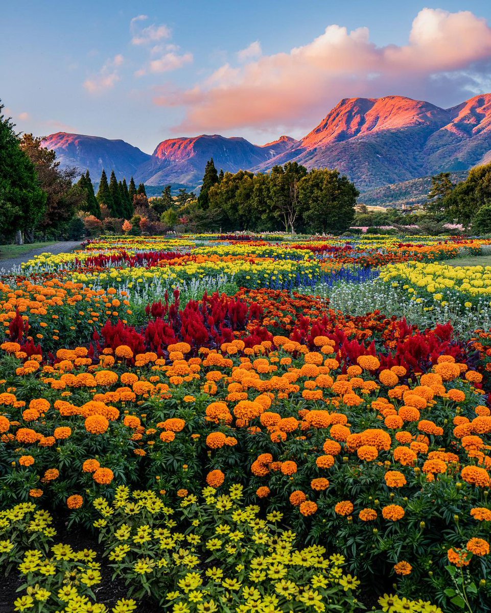 𒈙 Jack 𒈙 tweet media