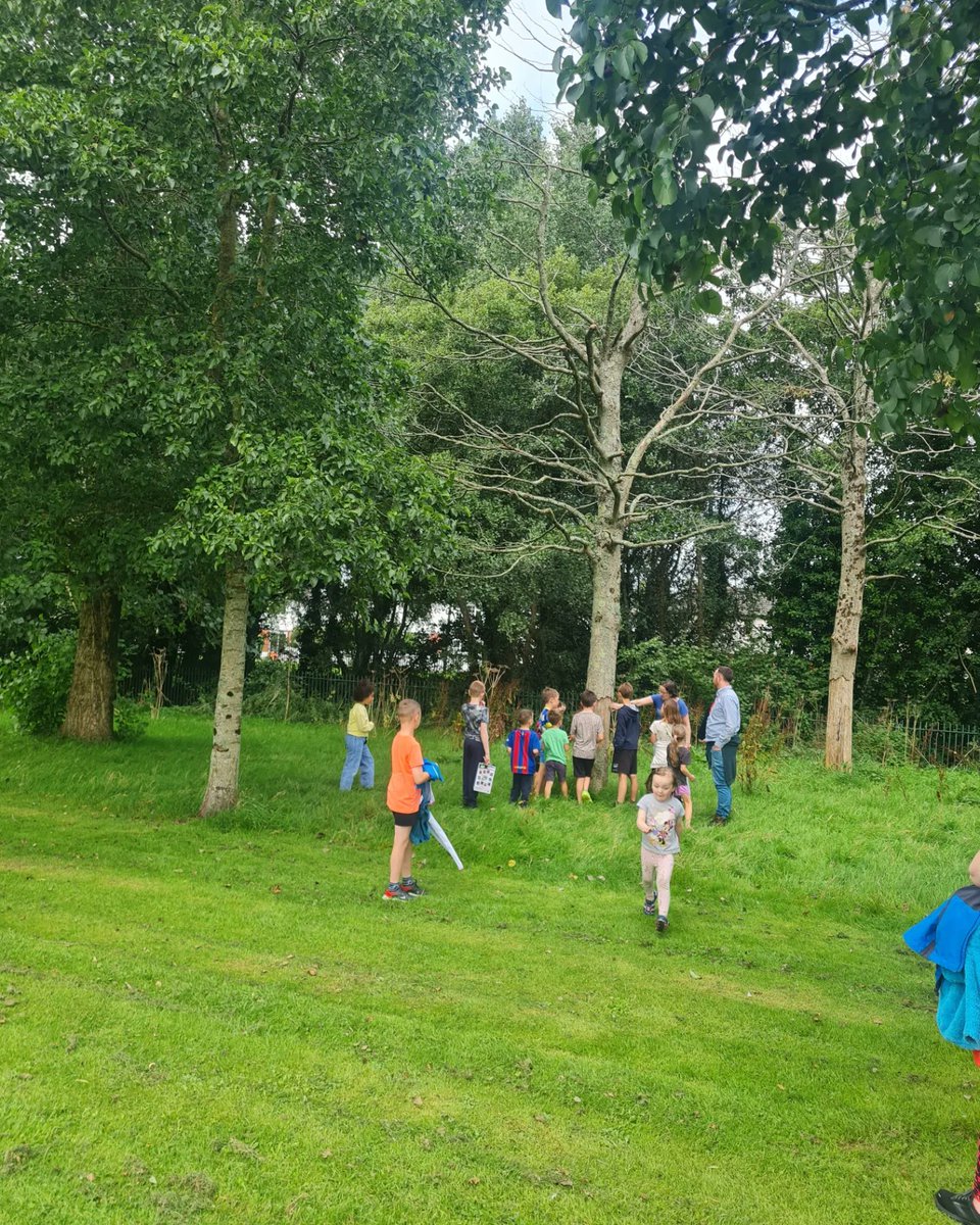 Togher Community Garden tweet media