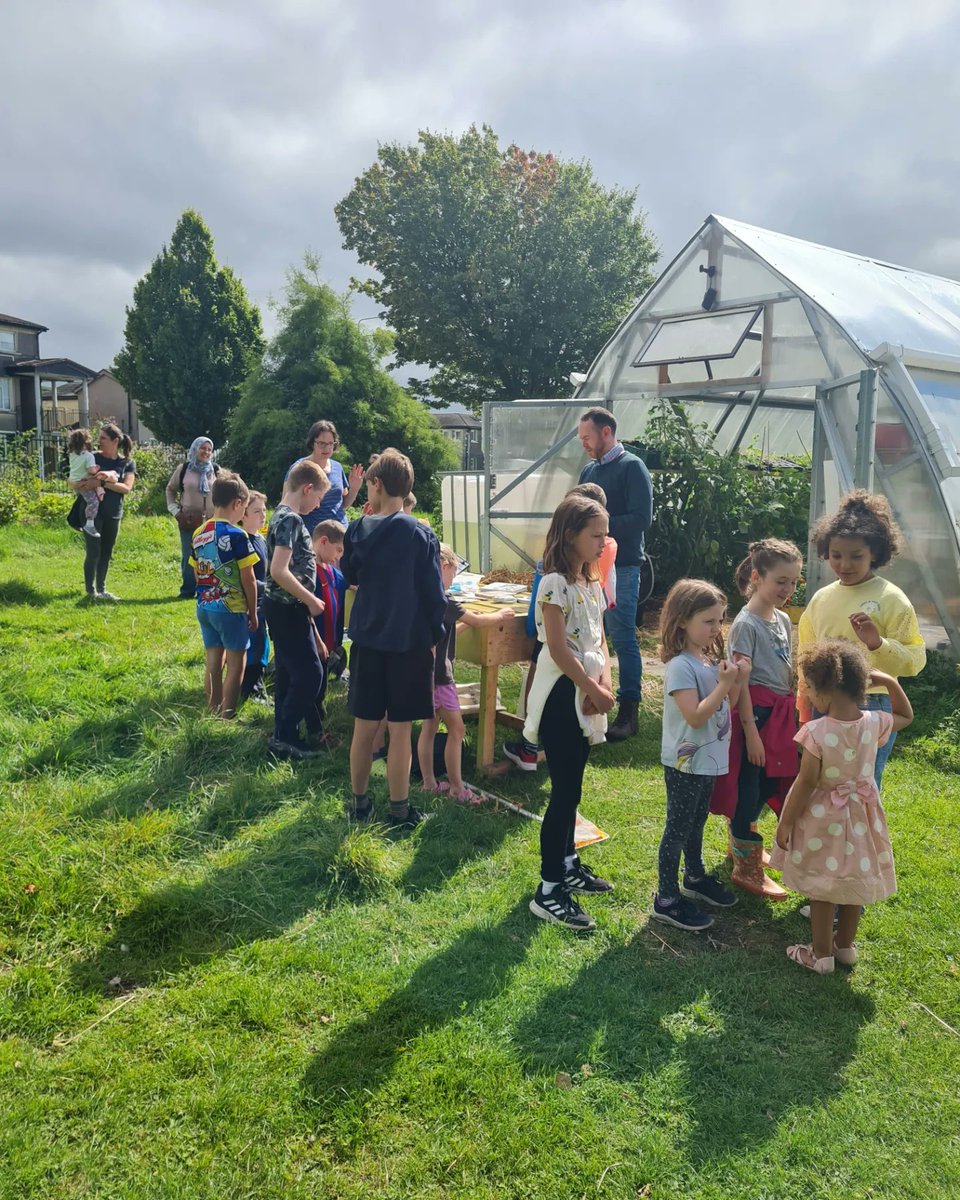 Togher Community Garden tweet media