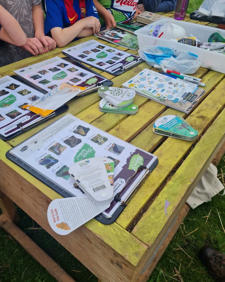 Togher Community Garden tweet media