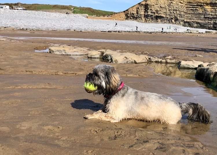 IceAndASlice tweet media