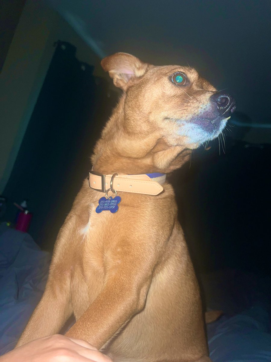 How I was woken up today… <a href="/monicaesquivell/">Monica</a>