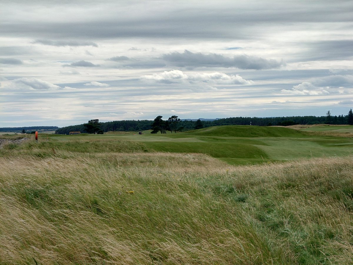 Hugh mcbride tweet media