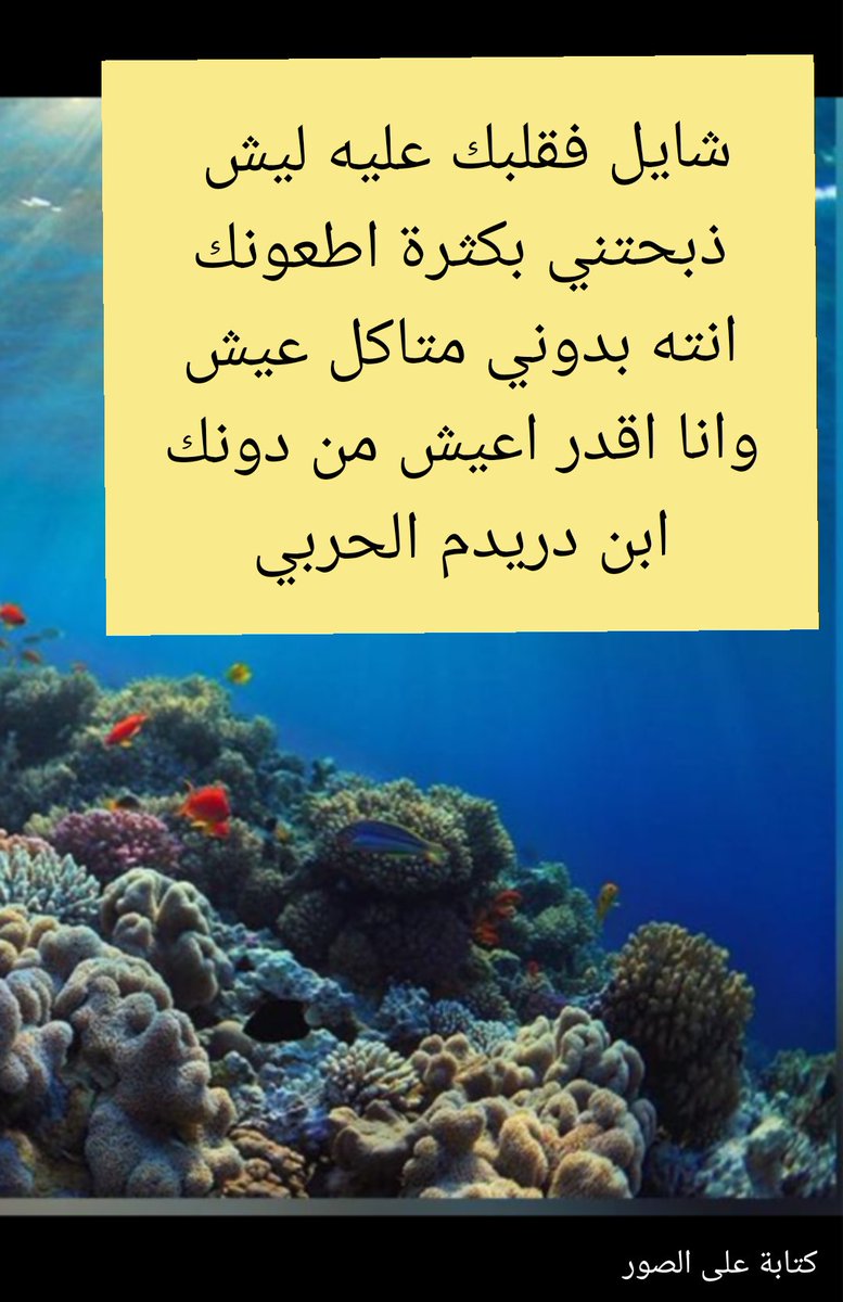 ابن دريدم الحربي tweet media