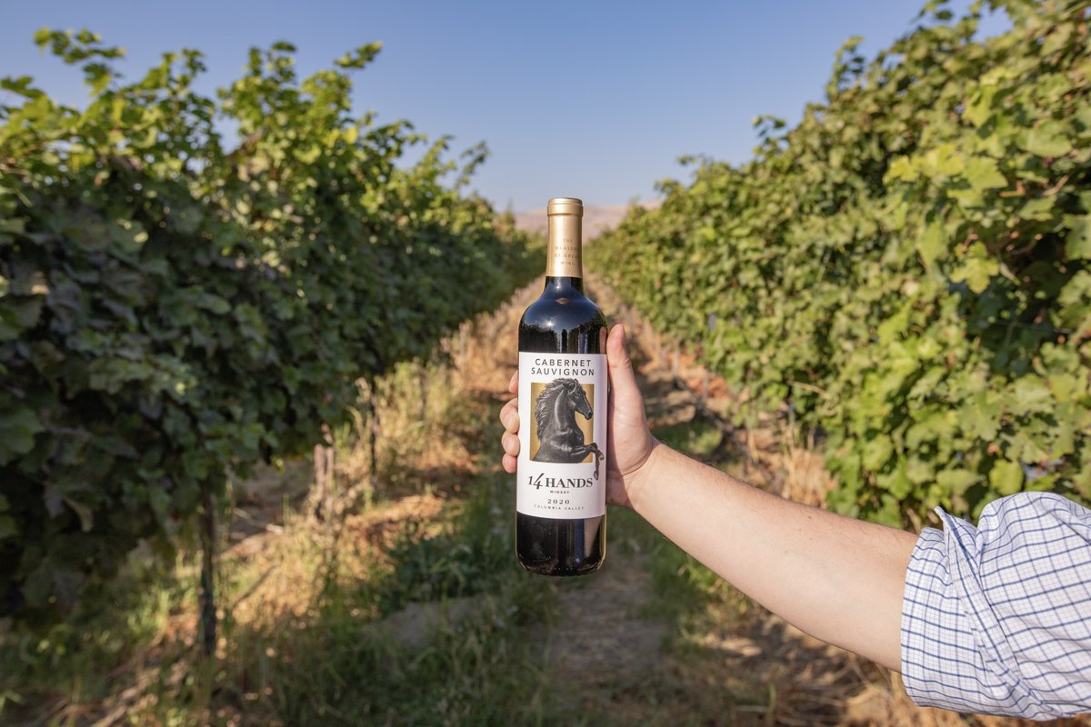 14 Hands Winery tweet media