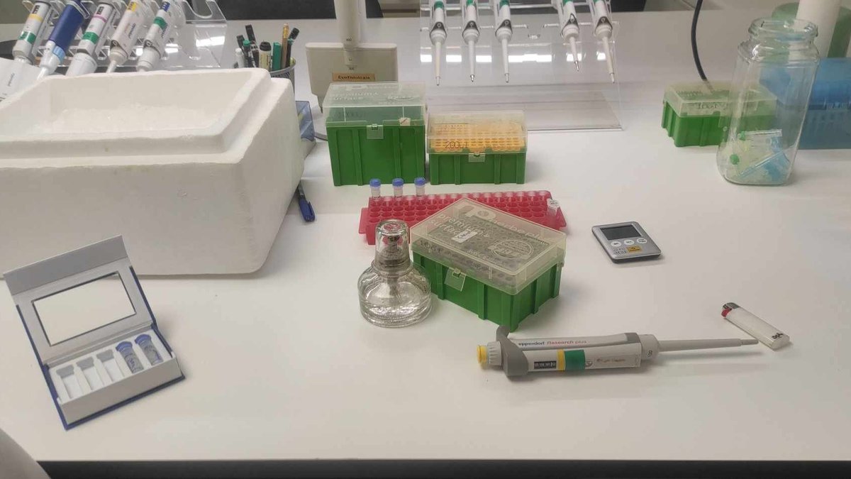 And just like that Project MoMMa begins...<a href="/CiimarUp/">CIIMAR-UP</a>  #MarineMammals #AnimalGeneticsEvolution #CIIMARresearch #WomeninSTEM