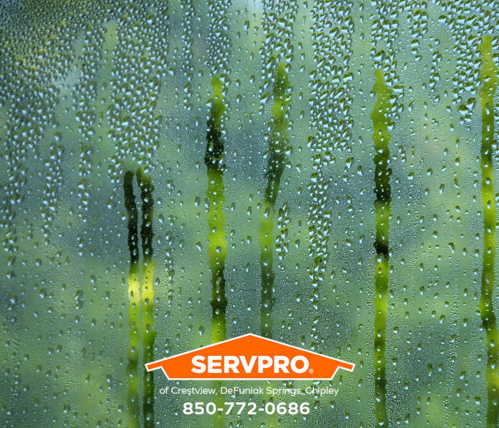 Moisture and Mold Prevention and Control Tips for Crestview Residents? We are leaders in mold remediation services in Okaloosa County. #SERVPRO #SERVPROofCrestviewDefuniakSpringsChipley #HeretoHelp #LikeItNeverEvenHappened #waterdamage #firedamage #propertydamage