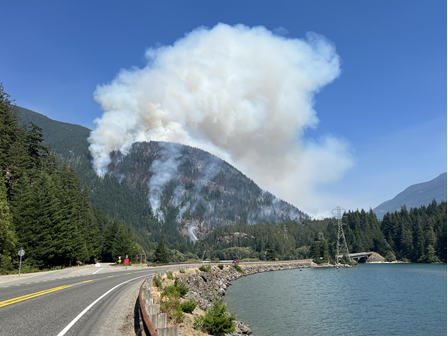 WSDOT North tweet media