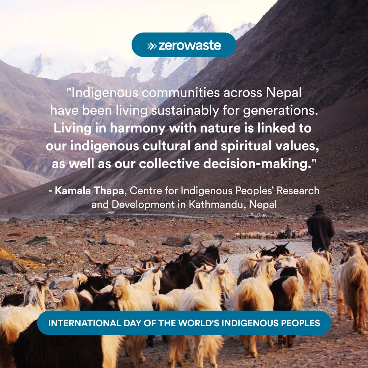 zerowaste_com's tweet photo. Celebrating Indigenous Wisdom! From Nepal's mountains to valleys, harmonious coexistence with nature is more than life—it's our identity. On this International Day, let's honor resilient indigenous communities worldwide 🌍🌿 #IndigenousPeoplesDay #IndigenousPride https://t.co/GFdzrtcWzJ