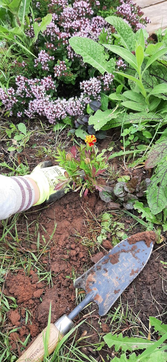 AidBoxCommunity's tweet image. Our Trips &amp;amp; Days Out for those seeking asylum in Bristol are designed for adults &amp;amp; families to spend time together, learn new things, and create meaningful memories. 

Hopefully also inspire confidence, friendship and hope. 💕

“Straight away I felt happy.” - A.E.