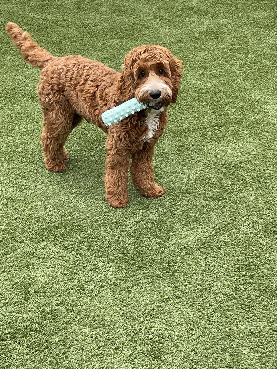 bigfacedmr tweet media