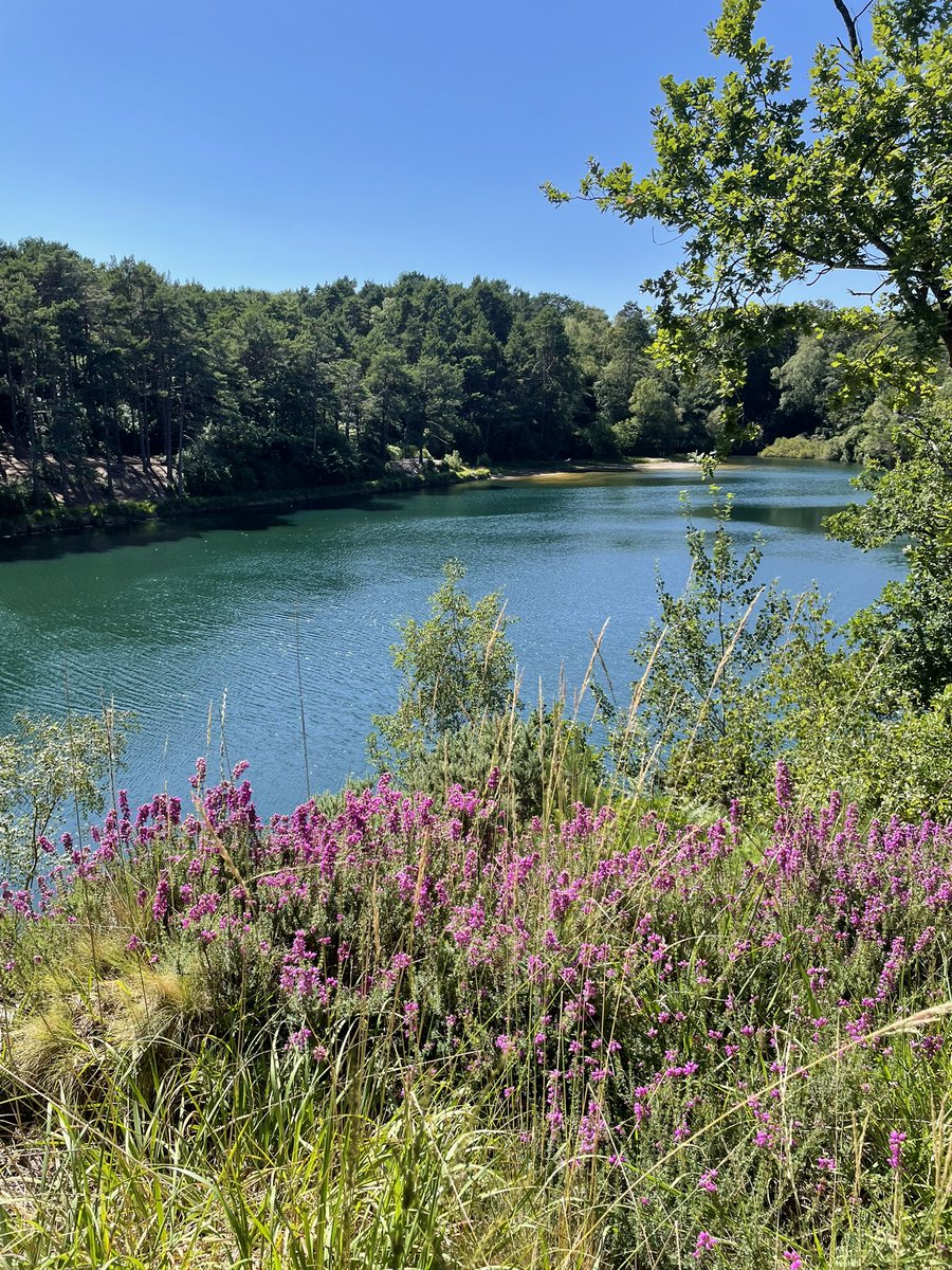 The Blue Pool nr Wareham, Dorset. Featuring tonight on Channel 5 ‘Dorset - Country and Coast’ 8pm, we hope you'll visit. Summer has returned. 🌞