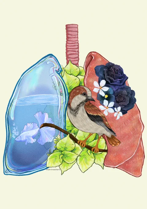 if my heart was a bird