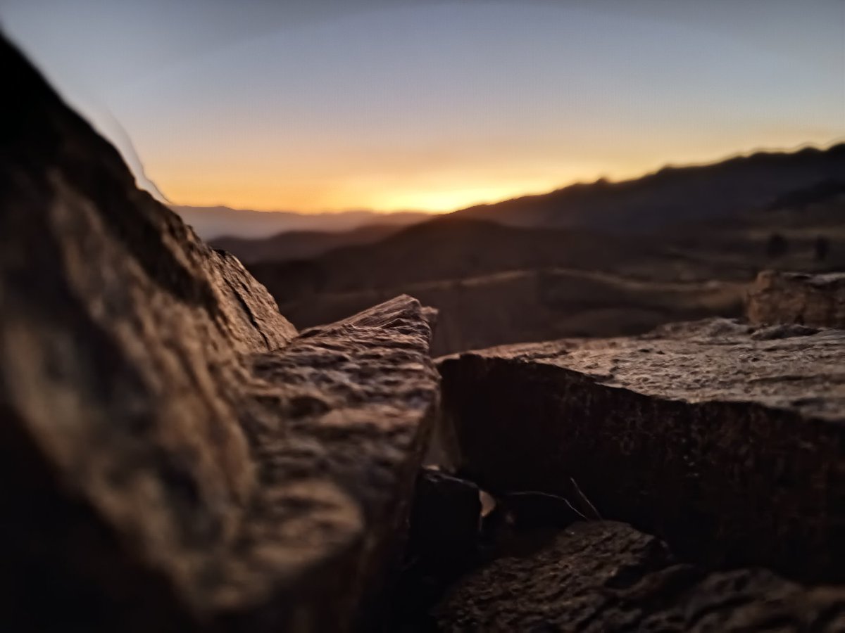 dormirdedia's tweet image. 