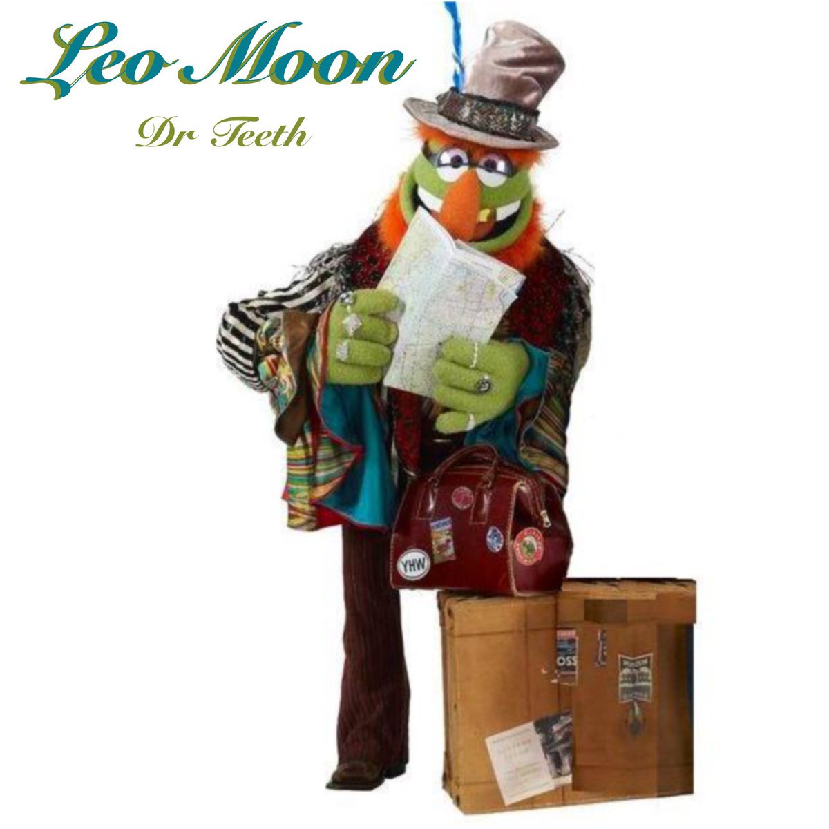 Sneeze17's tweet photo. i fkn love the muppets https://t.co/DfTYjaqwCp