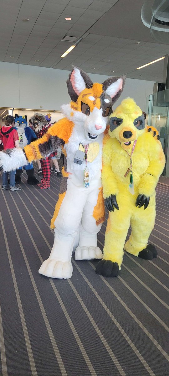 cyanthetortat's tweet image. Sup! Its Cyannocti "Cyan" the tortat. Here's where I do all my fursuit shenanigans!🐾🐾