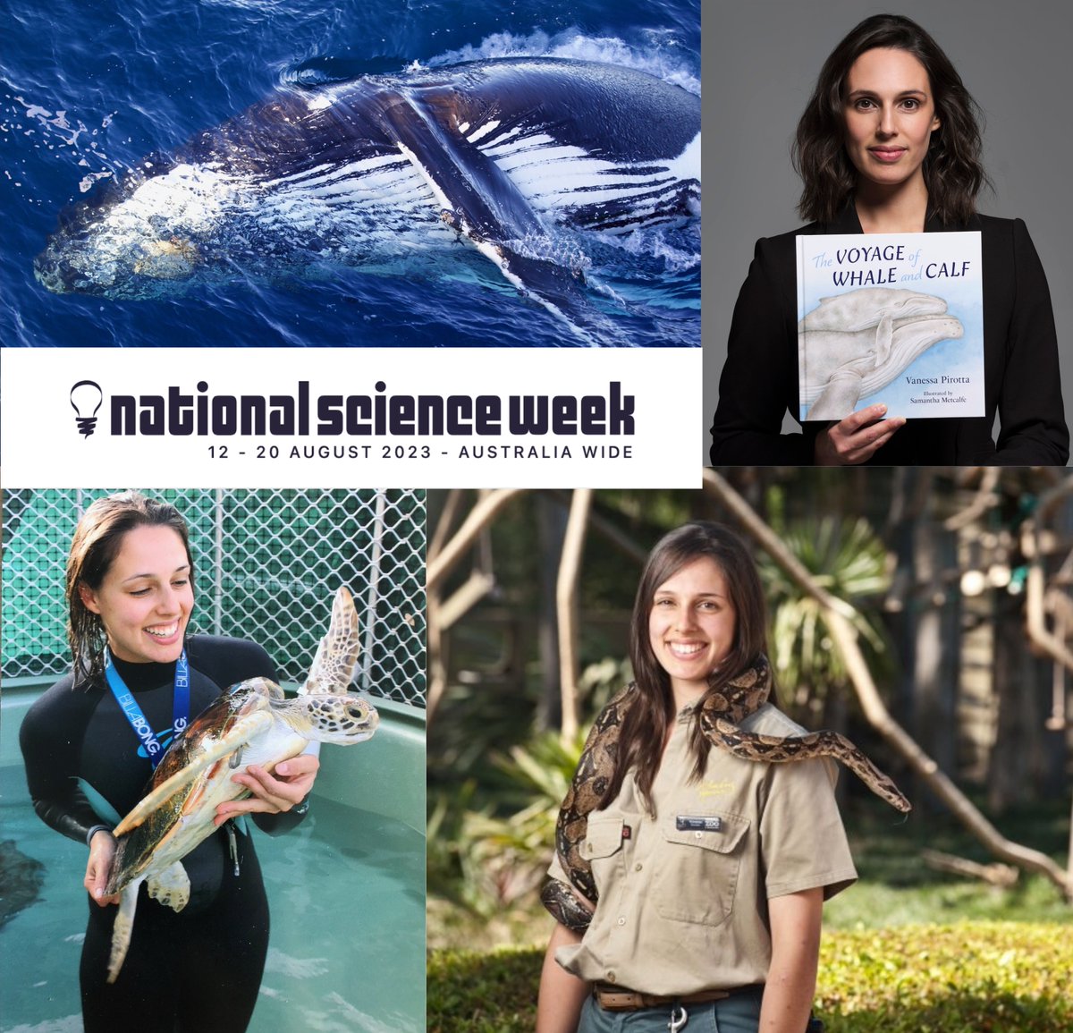 Antarctic Science Foundation (@antarcticsf) on Twitter photo “Whales, poo & Antarctica make the world go round!”
NATIONAL SCIENCE WEEK SPECIAL - FOR ALL AGES!
Whales are just amazing and so is the excellent <a href="/VanessaPirotta/">Dr. Vanessa Pirotta</a>
Join us: 9.30am, Wed 16th August AEST
Info and rego here:
antarcticsciencefoundation.org/blog/2023/4/4/…
#Antarctica
<a href="/Aus_ScienceWeek/">NationalScienceWeek</a> “Whales, poo & Antarctica make the world go round!”
NATIONAL SCIENCE WEEK SPECIAL - FOR ALL AGES!
Whales are just amazing and so is the excellent <a href="/VanessaPirotta/">Dr. Vanessa Pirotta</a>
Join us: 9.30am, Wed 16th August AEST
Info and rego here:
antarcticsciencefoundation.org/blog/2023/4/4/…
#Antarctica
<a href="/Aus_ScienceWeek/">NationalScienceWeek</a>