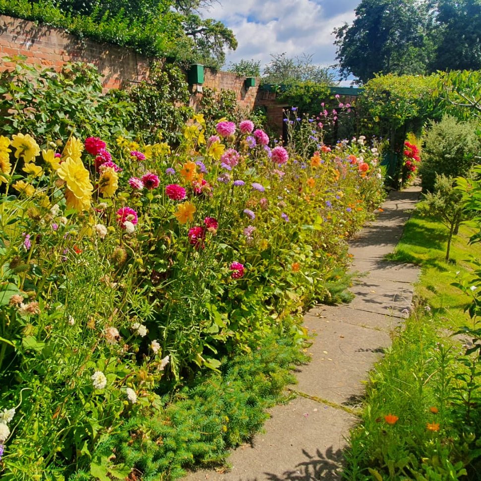 This delightful plot is such a joy. If we didn't have things to do we would happily pull up a chair and bathe in the colours and listen to the bees buzzing! #allotmentsweek2023