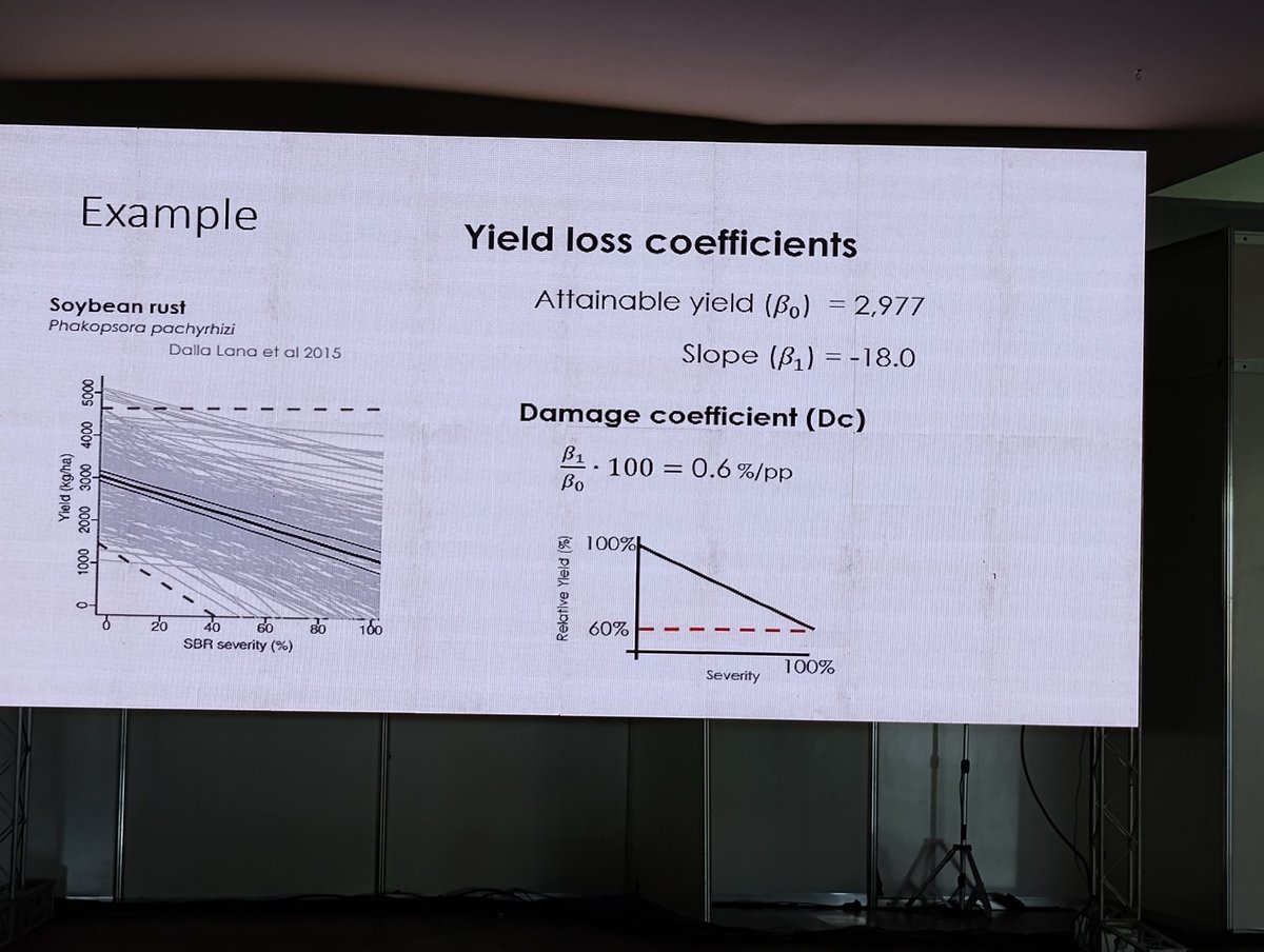Happy to see the former lab member <a href="/AlvesKS_/">Kaique Alves</a> doing great on the stage #cbfito2023 👏🏻👏🏻  #epidemiology #plantdisease