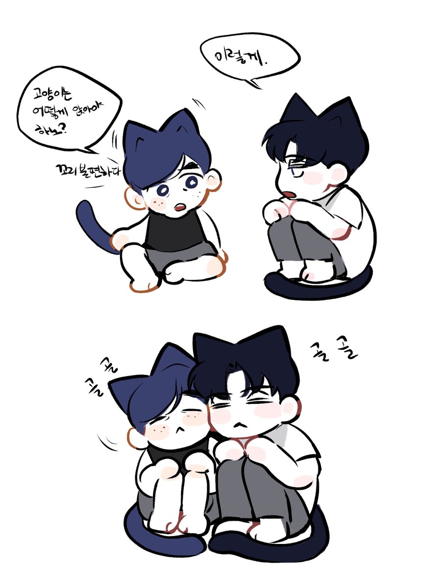 조움 tweet media