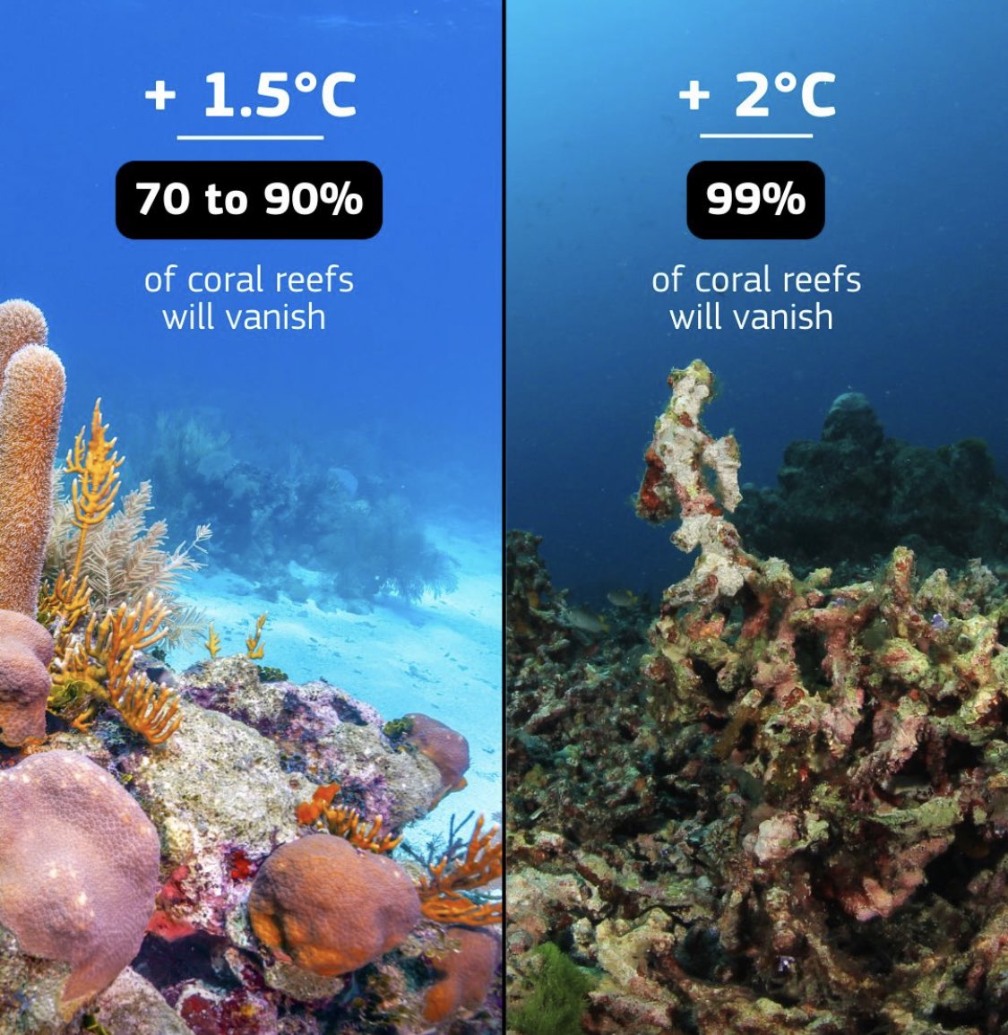 The thing is - the reefs are not waiting to magically cross these temperature boundaries. They are already dying and in many places it may already be too late. One thing is for sure - this summer may give us a stark view of this apocalyptic prediction.