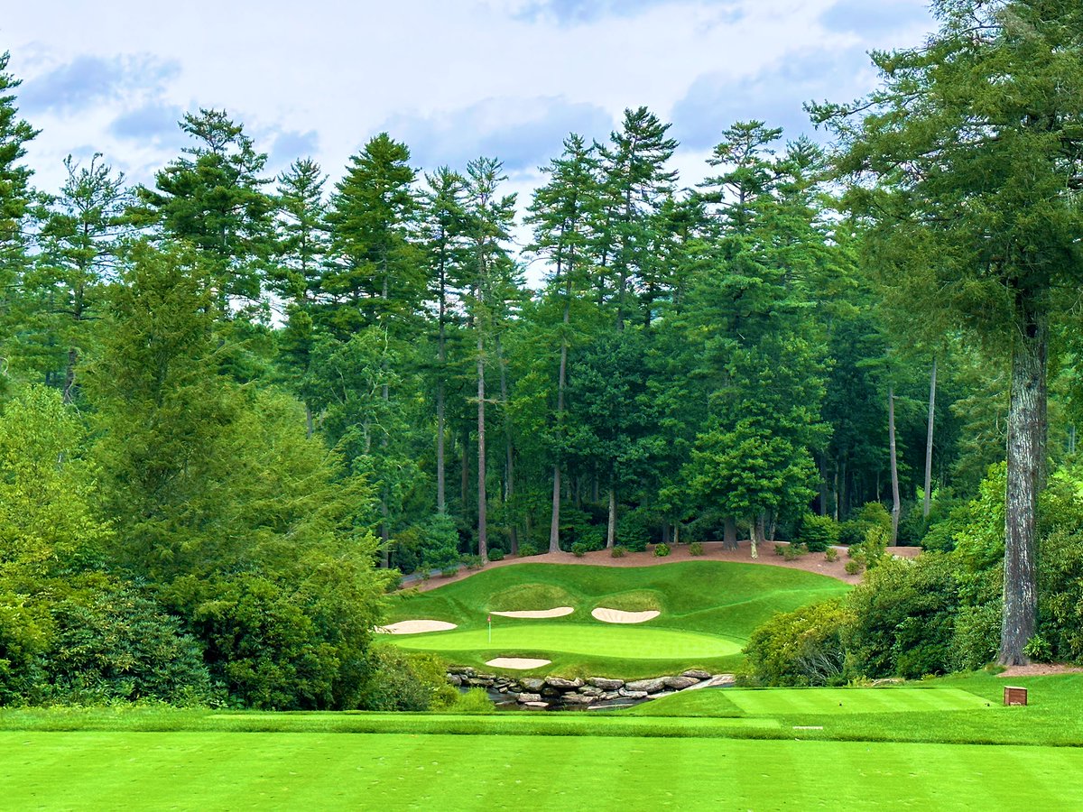 Rick Golfs tweet media