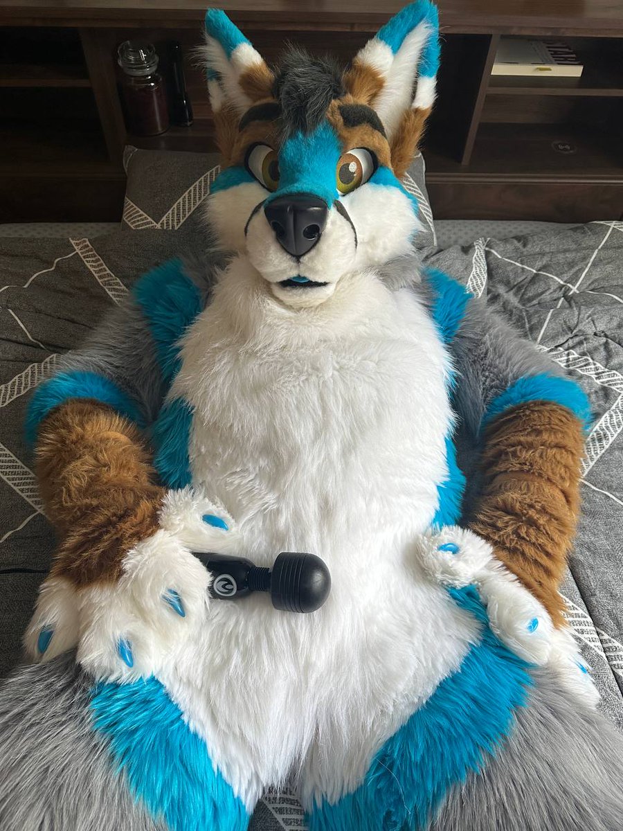 Spicyfolf's tweet photo. Really want to make some content with people  tired if only being able to do solo stuff https://t.co/Vdf1mGQ12V