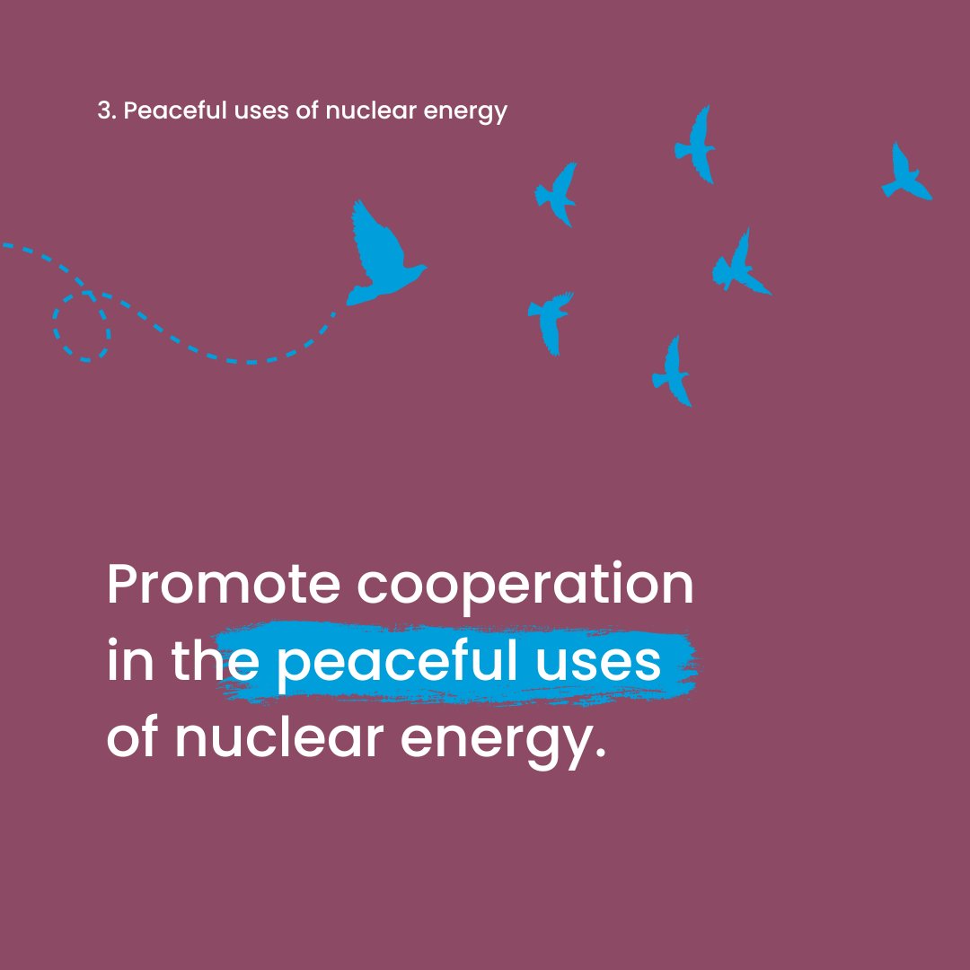 🧠 Do you know the three pillars of the Treaty on the Non-Proliferation of Nuclear Weapons #NPT ?

➡️ ‌treaties.unoda.org/t/npt