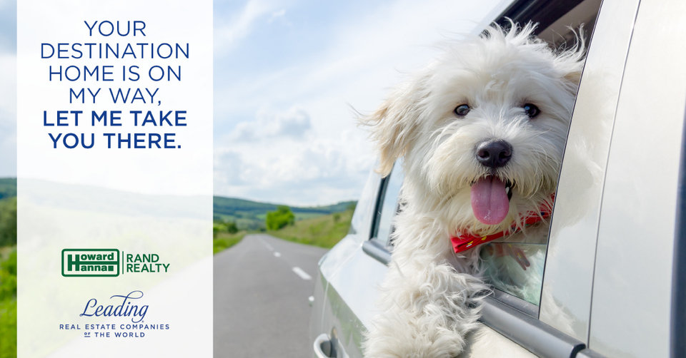 Caldorasiayoob's tweet image. Thinking of moving out of state?🏠 Let my connections help!! Local or Global we got you covered!! 🌎

📲914-804-7100
📧Christina.AldorasiAyoob@RandRealty.com

#Relocation #MoveOutOfState
#ChristinaAldorasiAyoobRealEstate
#CallChristinaForAllYourRealEstateNeeds