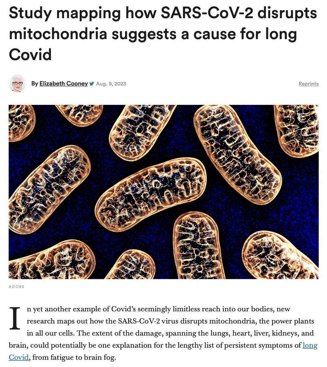 EricTopol's tweet photo. Very good summary of the study and implications for treatment, by @cooney_liz @statnews  https://t.co/u1LF5Zds0f #LongCovid https://t.co/57q5IlwGym