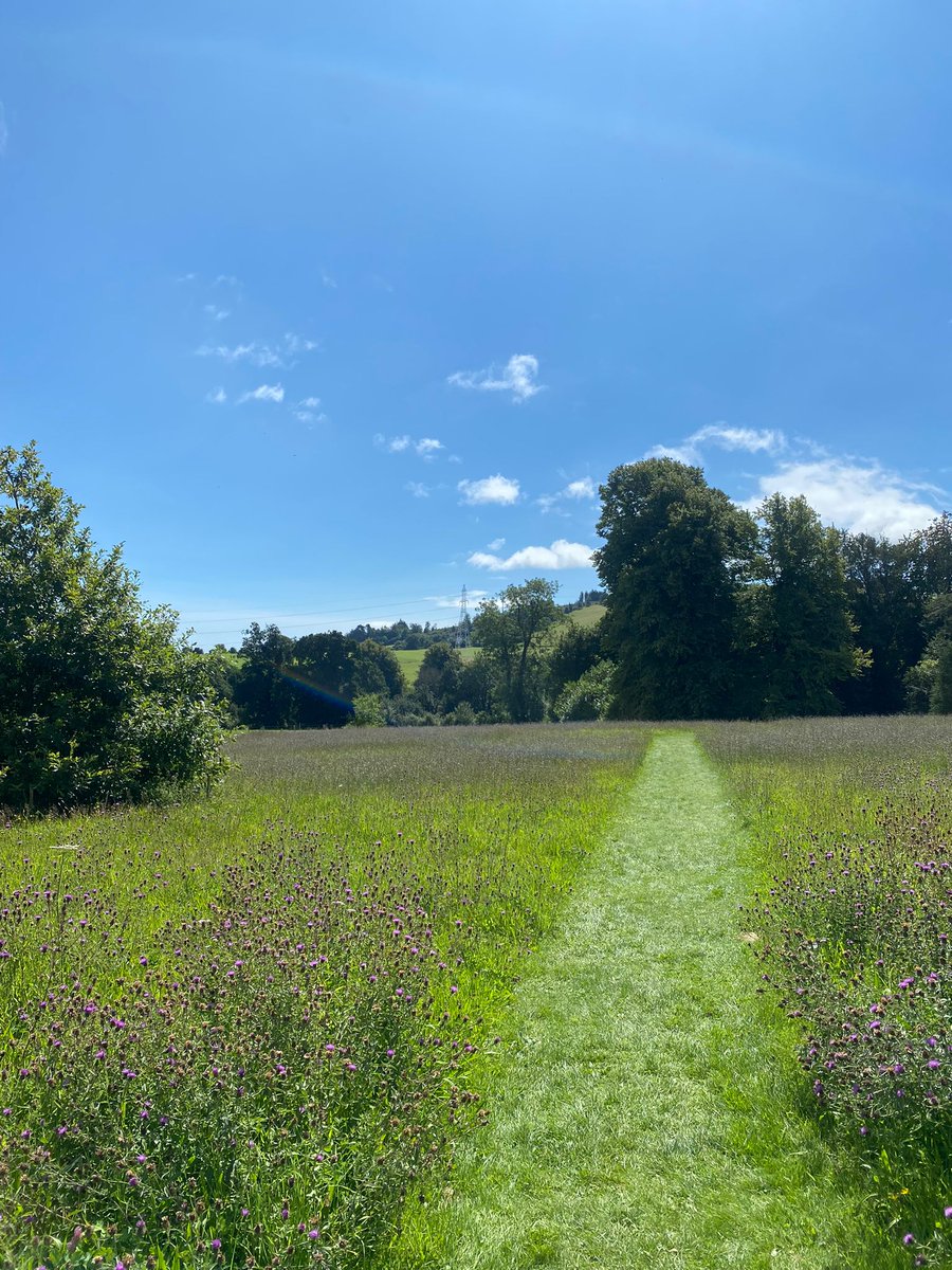 kerrymgordon's tweet photo. Wonderful visit to Kilmacurragh in Wicklow this week, visiting their outstanding gardens. Less than an hour from Dublin &amp; they are free (part of @NBGGlasnevinOPW) Dogs welcome on lead &amp; fab cafe. It's a hidden gem! Can't wait to watch @RTENationwide tonight which features them! https://t.co/LOk3RrHc0g