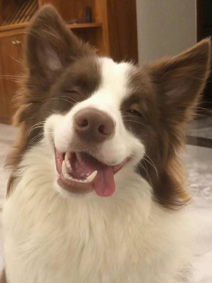twaniimals's tweet photo. https://t.co/aUrwK3U8ZP