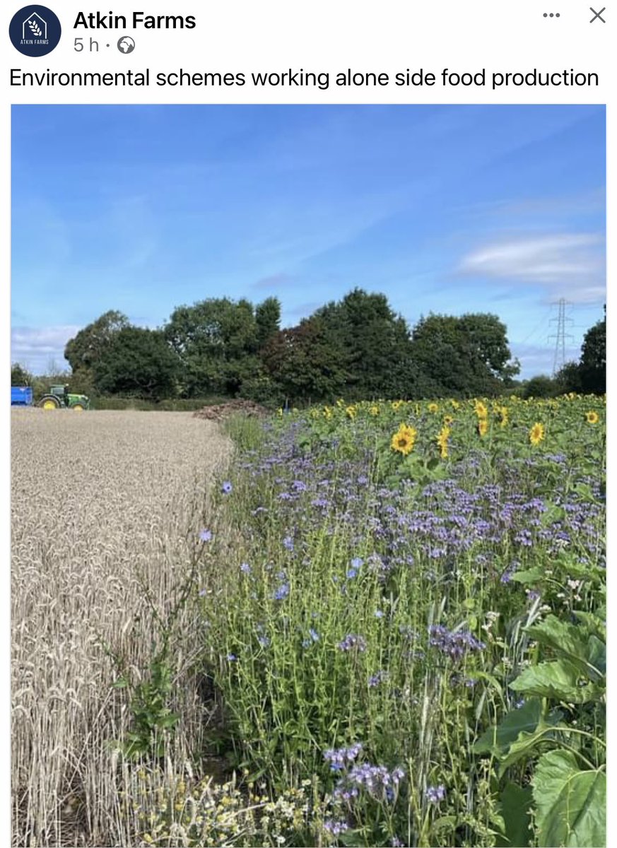 Fradswell's tweet photo. #Fradswell #Farming #Environment #localfood #sunflowers https://t.co/djA01xSNwO