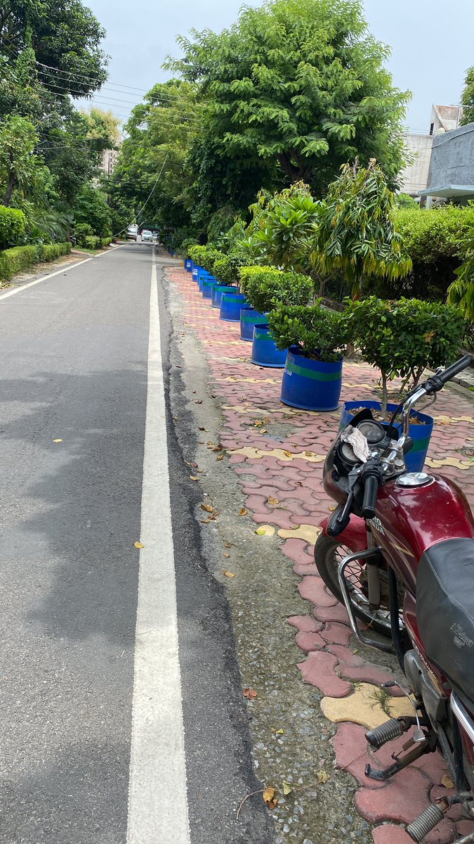 AnzuSoni's tweet photo. Will appreciate help to maintain greenery but Noida Authority discourages to maintain greenery. removing Greenery in #Ward3A #Sector28 #Noida Every alternate day Greenery is removed by Noida Authority. Sheer case of harassment. pics attached before and of removal of greenery. https://t.co/nALWZAS5cG