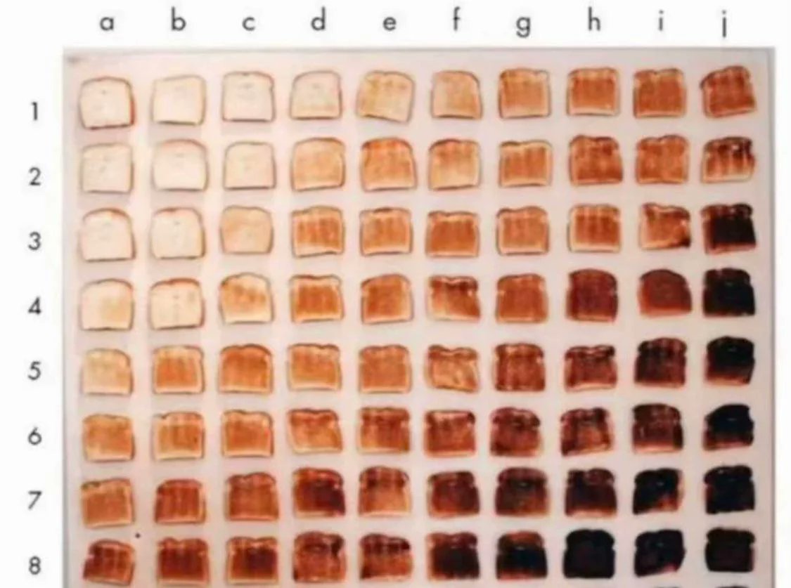 jeawokmedia's tweet photo. BREAD CHECK!
What bread are you today?
#toast #bread #breakcheck #mentalhealth #checkin https://t.co/V0jBDbSmRI