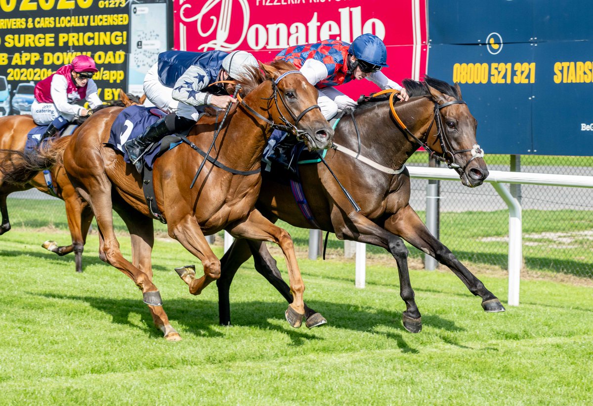 Brighton Racecourse tweet media