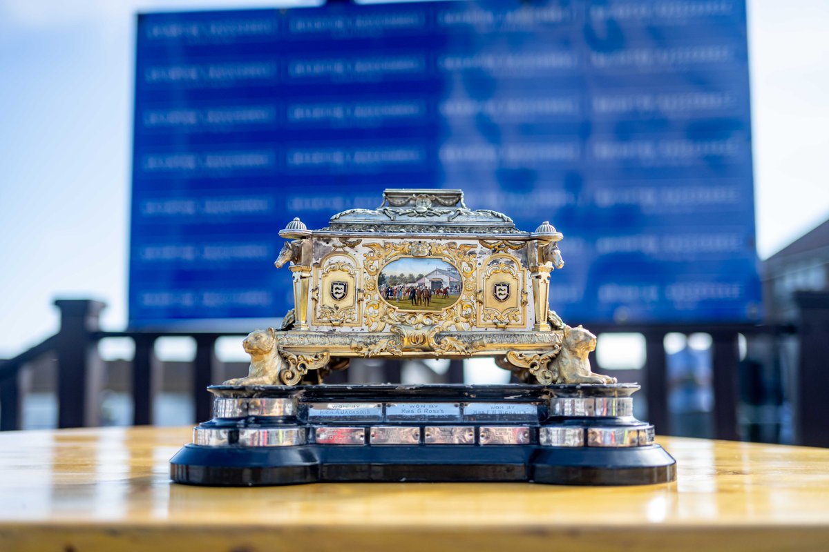 Brighton Racecourse tweet media