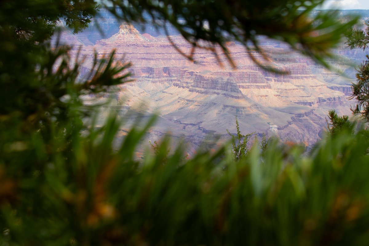 Beyond_Photog's tweet photo. Sharpen the background image a bit, highlighting its colors a bit.

#photography #photooftheday #NaturePhotography #Rocks #grandcanyon #photographer https://t.co/LUZbFM7tvv