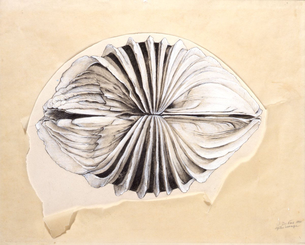 MenilCollection's tweet photo. Explore a selection of artist #JayDeFeo's works on view in "The Curatorial Imagination of #WalterHopps."
Learn more at https://t.co/mXDhllQOLp. https://t.co/rjvztMNTaA