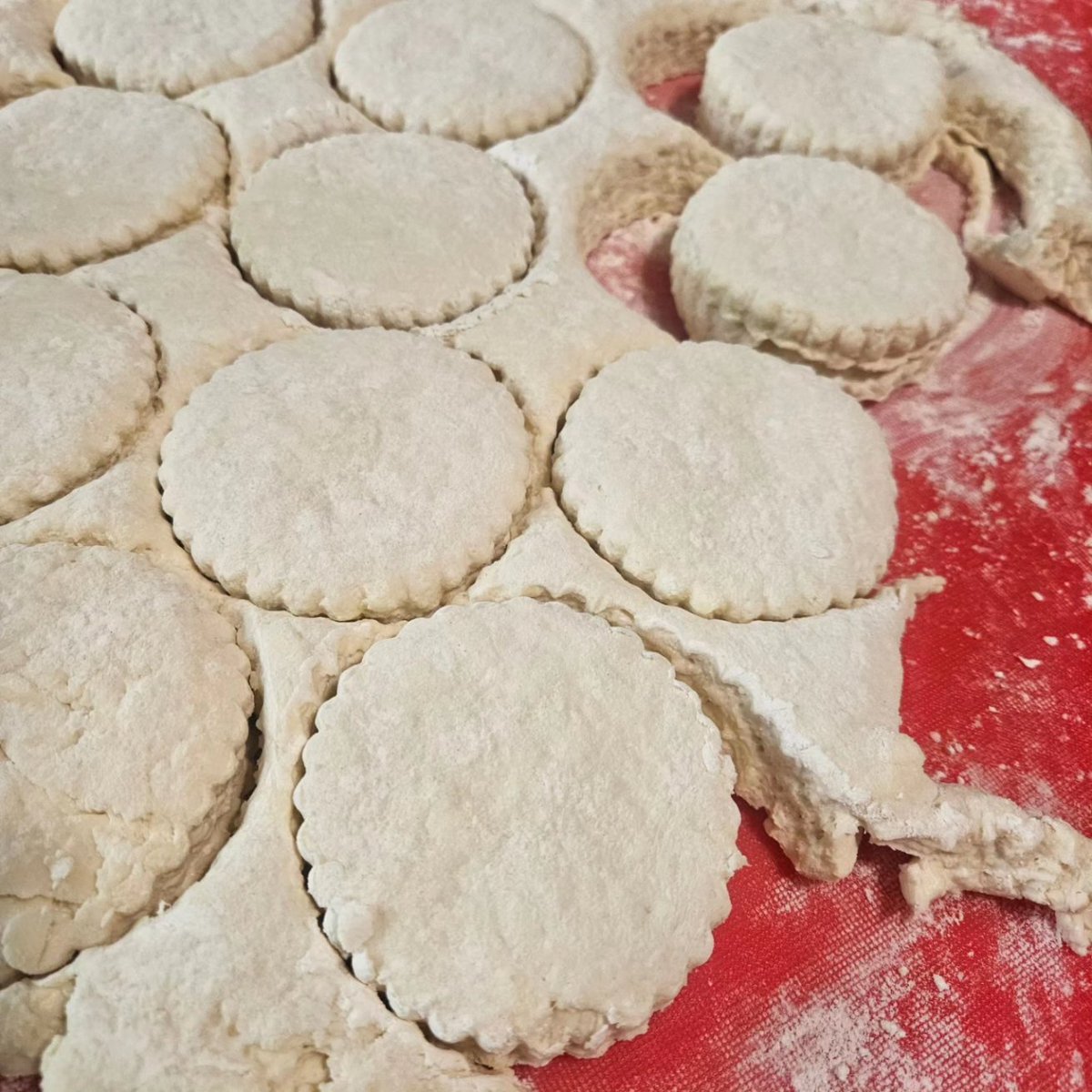 SaucyBiscuitMN's tweet photo. Practice makes perfect...biscuits! https://t.co/jgHa7kWQDW