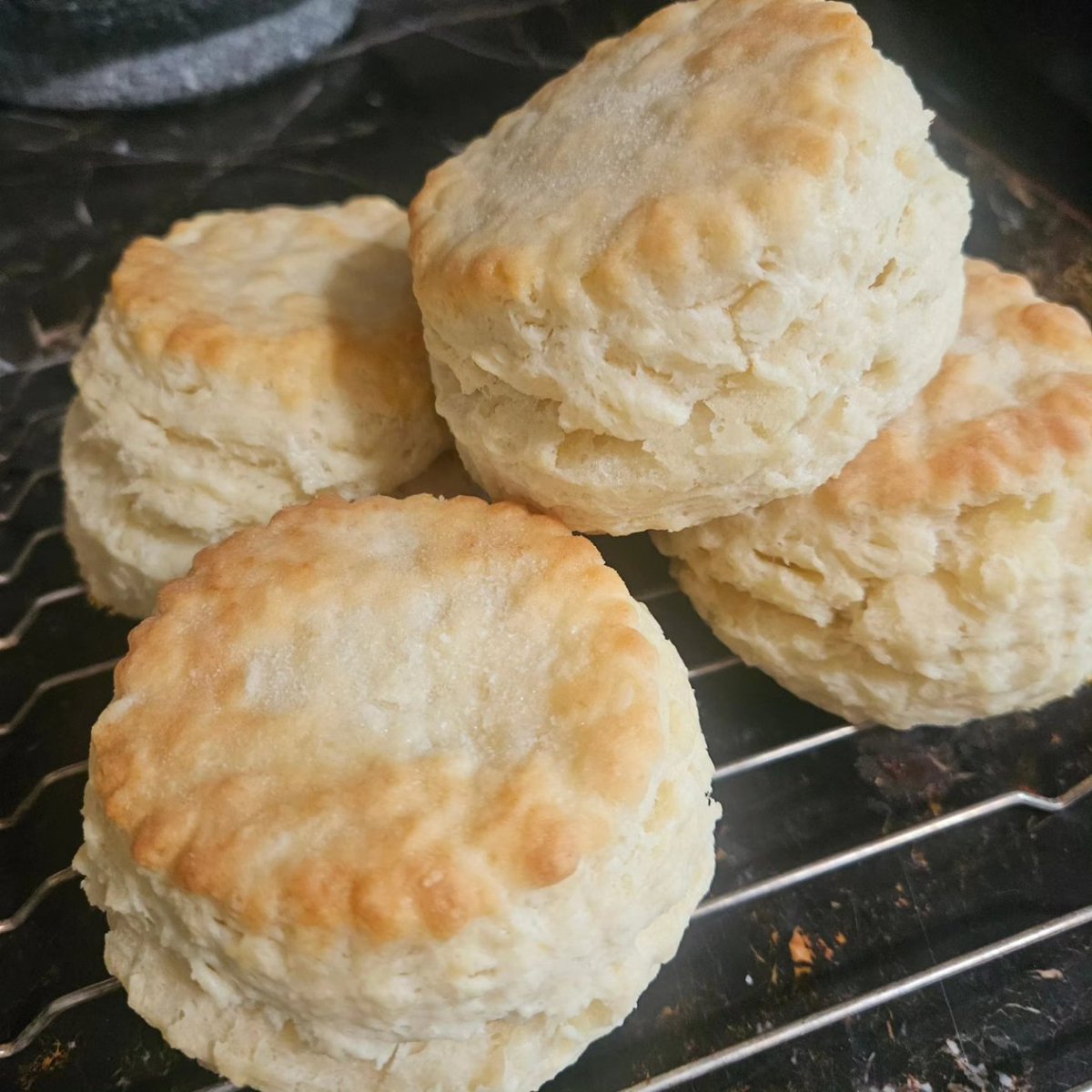 SaucyBiscuitMN's tweet photo. Practice makes perfect...biscuits! https://t.co/jgHa7kWQDW
