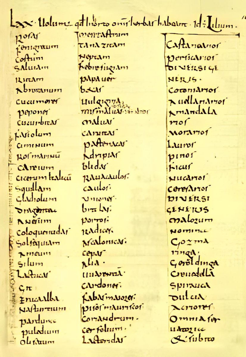 JayBirdGarden's tweet photo. This is an excerpt from the Capitulare de Villis by Charlemagne in the 8th or 9th century. This is (some) of the list of trees:

Apple various kinds
Pear
Plum
Sorb
Medlar
Chestnut
Peach Various types.
Quince
Hazel 
Almond
Mulberry
Laurel 
Pine
Fig
Nuts and Cherries Various kinds https://t.co/ywnsw5cxGi