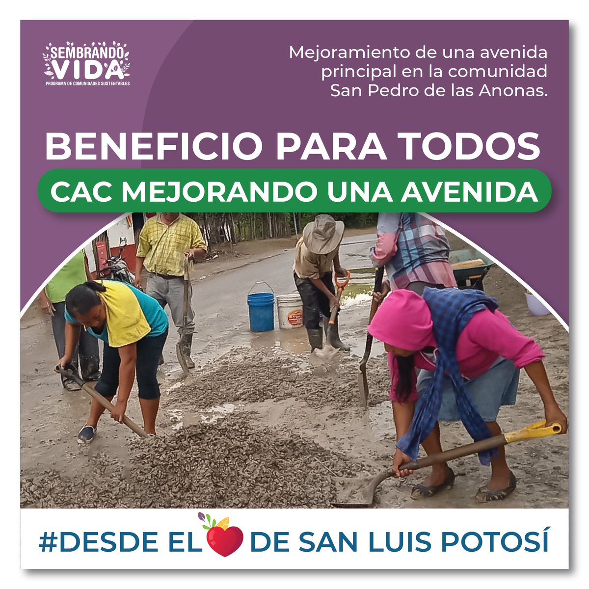 Raul_PaulinH's tweet photo. #Desdeel💚de #SanLuisPotosí  
La mejora de la infraestructura vial impacta directamente en la calidad de vida de los habitantes. ¡Felicidades a la comunidad de San Pedro de las Anonas y a la CAC "El Carrizo"! 👍 
#ExperienciasSignificativasdelPSV #regiónhuasteca https://t.co/Y1wvvO5L8d