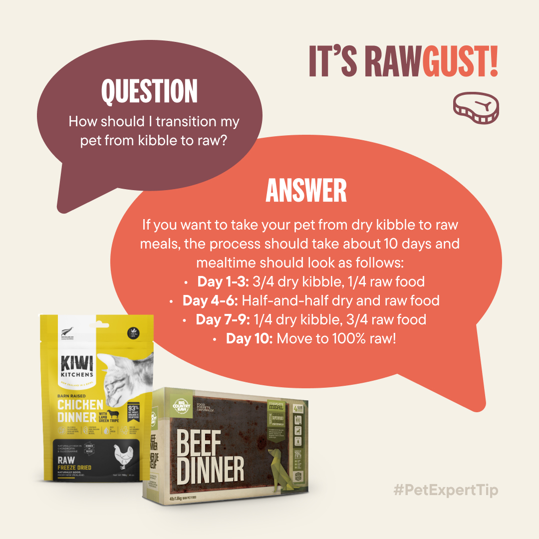 tisolpets's tweet photo. Ask your Animal Care Expert to learn more about #Rawgust!
https://t.co/CKrOm5uF0l https://t.co/3ehNUQkQiW