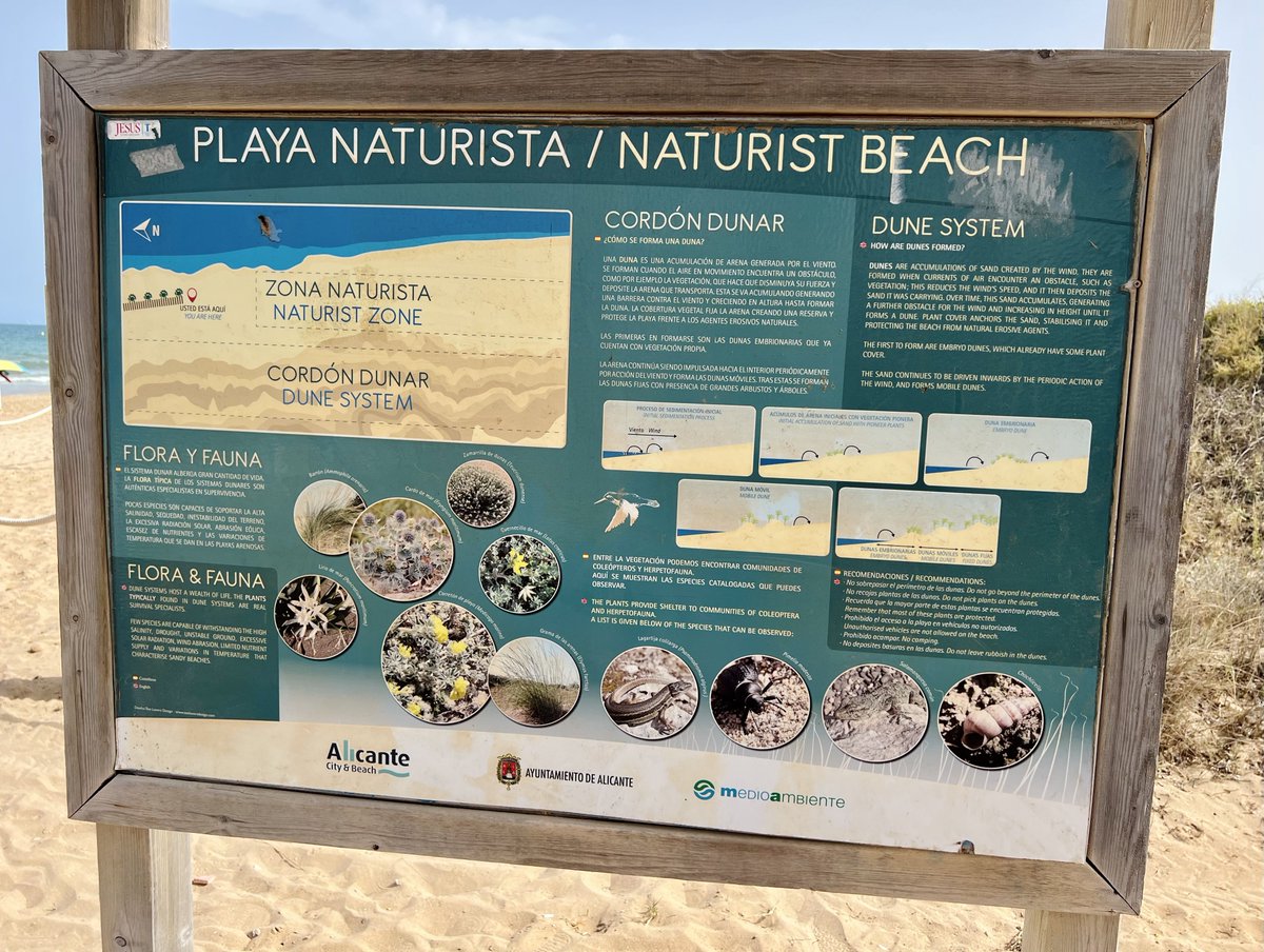 franamati's tweet photo. Cancelamos Dinamarca, Suecia y Noruega, sentíamos desperdiciado el verano entre nubes y temperaturas indignas para la temporada. 🌧️

Buscamos desde Hamburgo donde había vuelos a sol y playa por menos de 80 euros y terminamos literalmente en pelotas en Alicante vía Eurowings. ☀️ https://t.co/GLjLvRLF6E