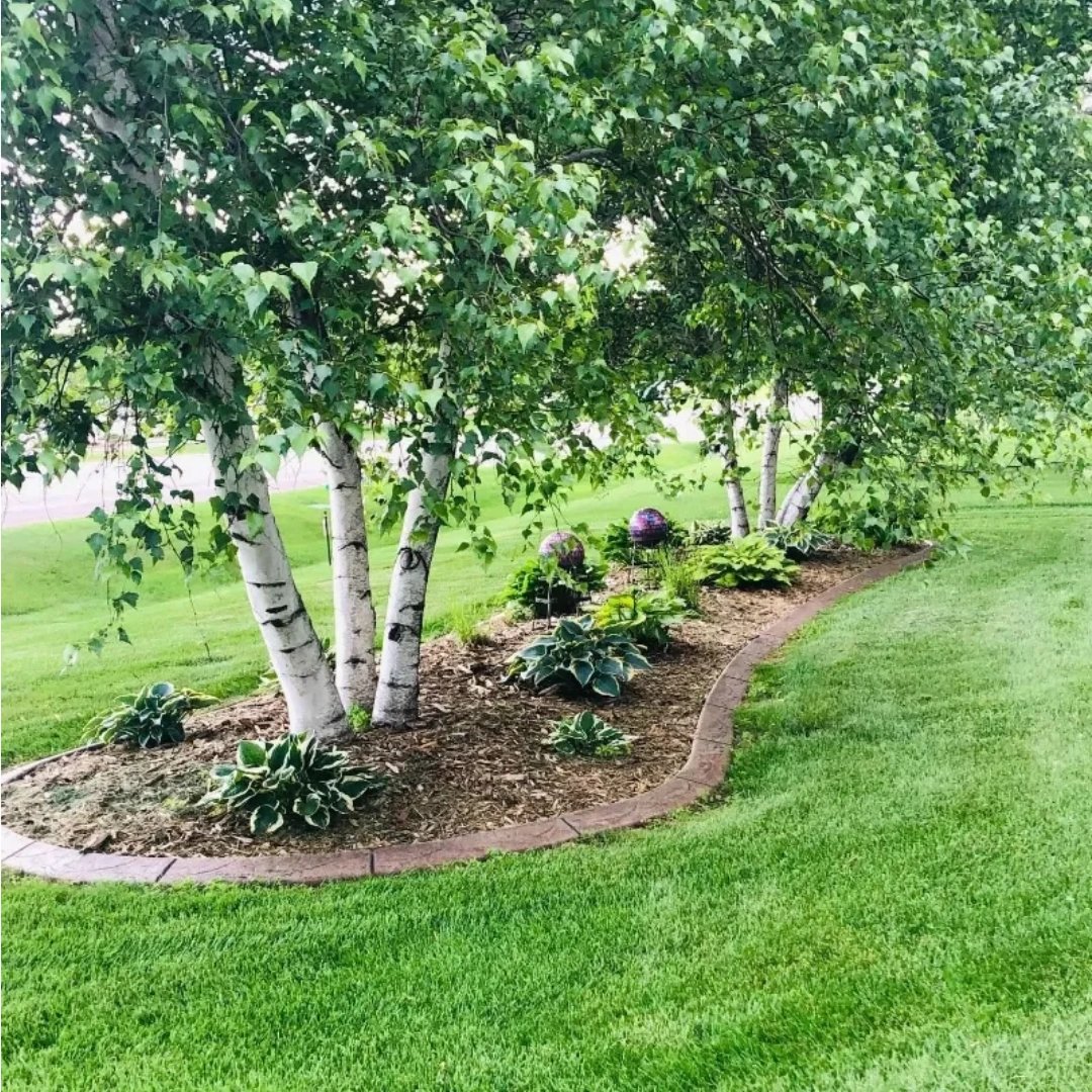 qualitycurbing's tweet photo. When you're in the market for professional and reliable landscape curbing, look no further than Quality Landscape Curbing LLC! Check out our website today to learn more about our services: https://t.co/8XOoGBD98o. https://t.co/jPCAVW6C5e