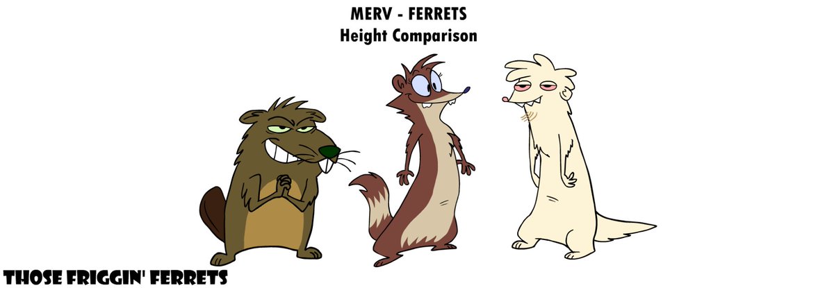 KevinLsAccount's tweet image. Blown away by how many people liked Sug!  Here's the Ferrets' worst neighbor, Merv Marmot. He was created before Garth as Hattie's original comedic partner but then the idea changed.