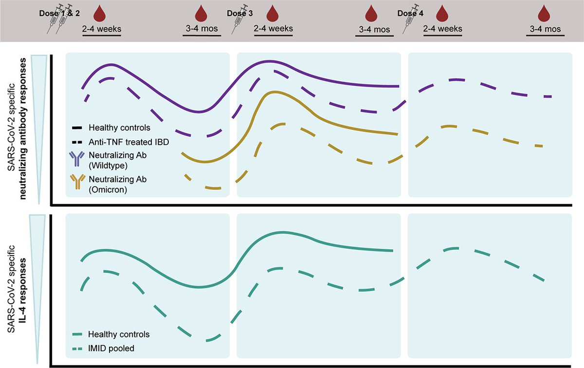 J_Immunol's tweet image. #AuthorChoice: 

Third &amp;amp; fourth doses of #SARSCoV2 #mRNAvaccine sustain &amp;amp; broaden immune responses to SARS-CoV-2 in patients with immune-mediated #InflammatoryDiseases

from @gingraslab1 @SinaiHealth 

#FreetoRead #ReadTheJI #immunology #COVID19 👉 ow.ly/L3Cf50PuUr6