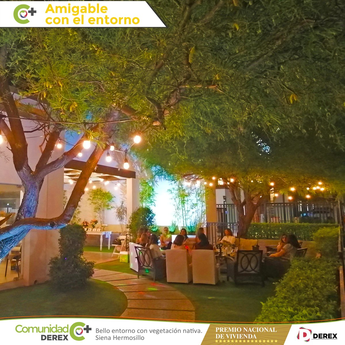 ¡Imagina tu hogar rodeado de árboles! En Derex lo hacemos posible.
#ComunidadDerexC+ 🌳😃 #Sonora #BC

#C+AmigableConElEntorno
#Praga #Hermosillo
#PensandoFueraDeLaCasa
