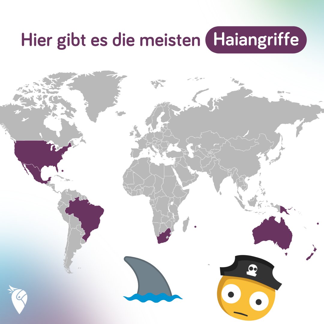 Falls ihr euch das auch schonmal gefragt habt 🦈🤔

Hier gibt's die ausführliche Liste mit vielen weiteren Tipps, Infos und Verhaltenstipps zum Thema:
👉 l.urlaubspiraten.de/ufULT
